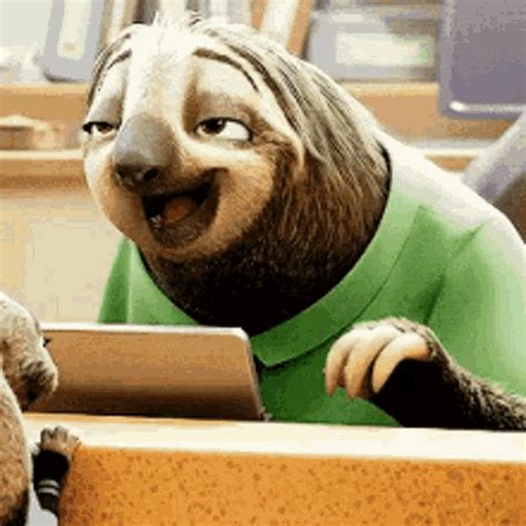 sloth gif